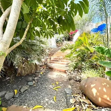 Lejlighed Jardines De Tamaide