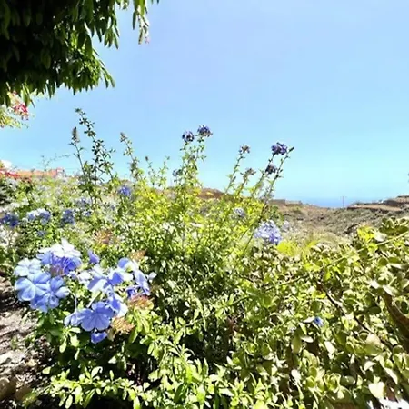 Apartamento Jardines De Tamaide San Miguel de Abona
